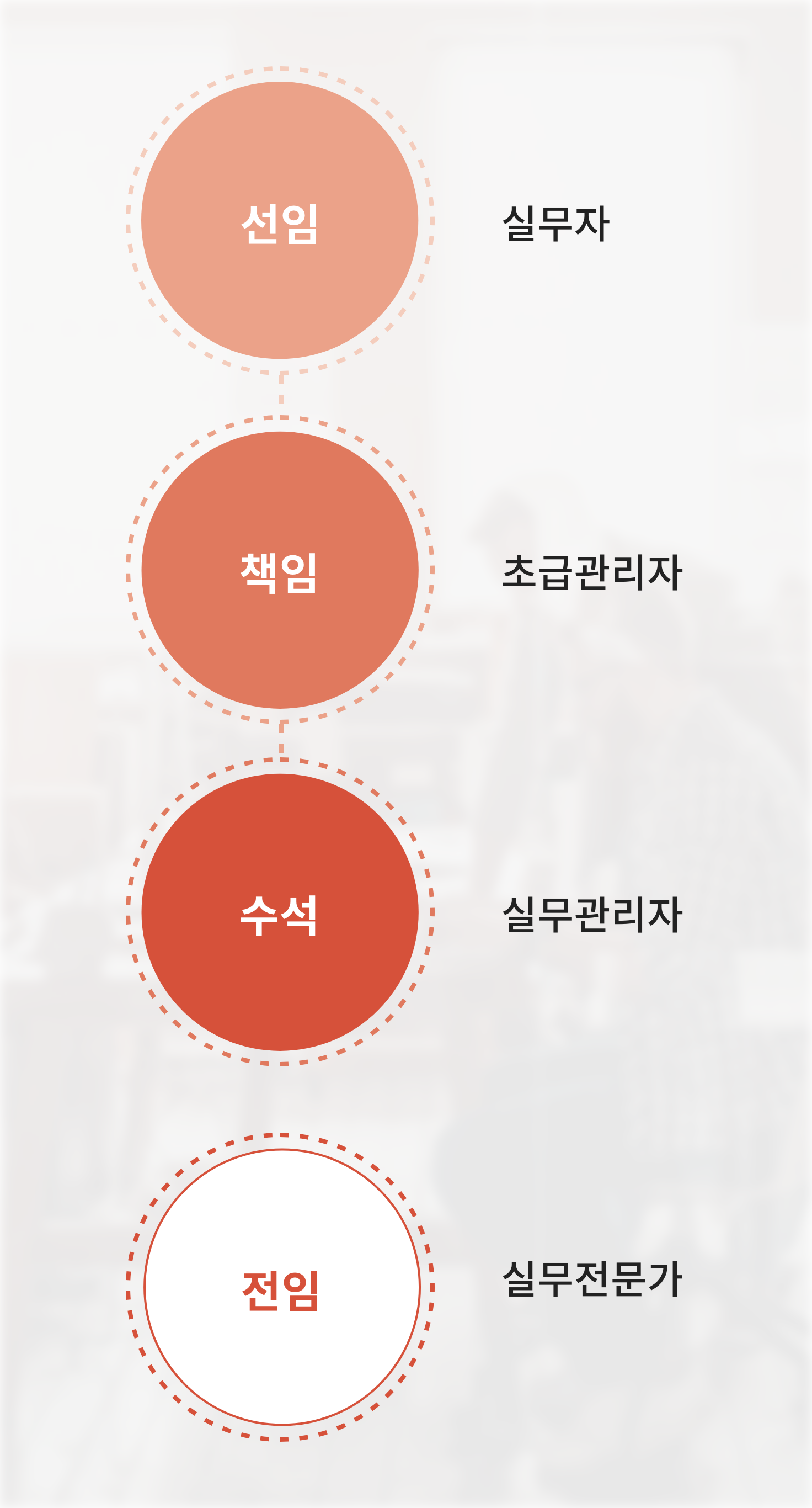 직급체계