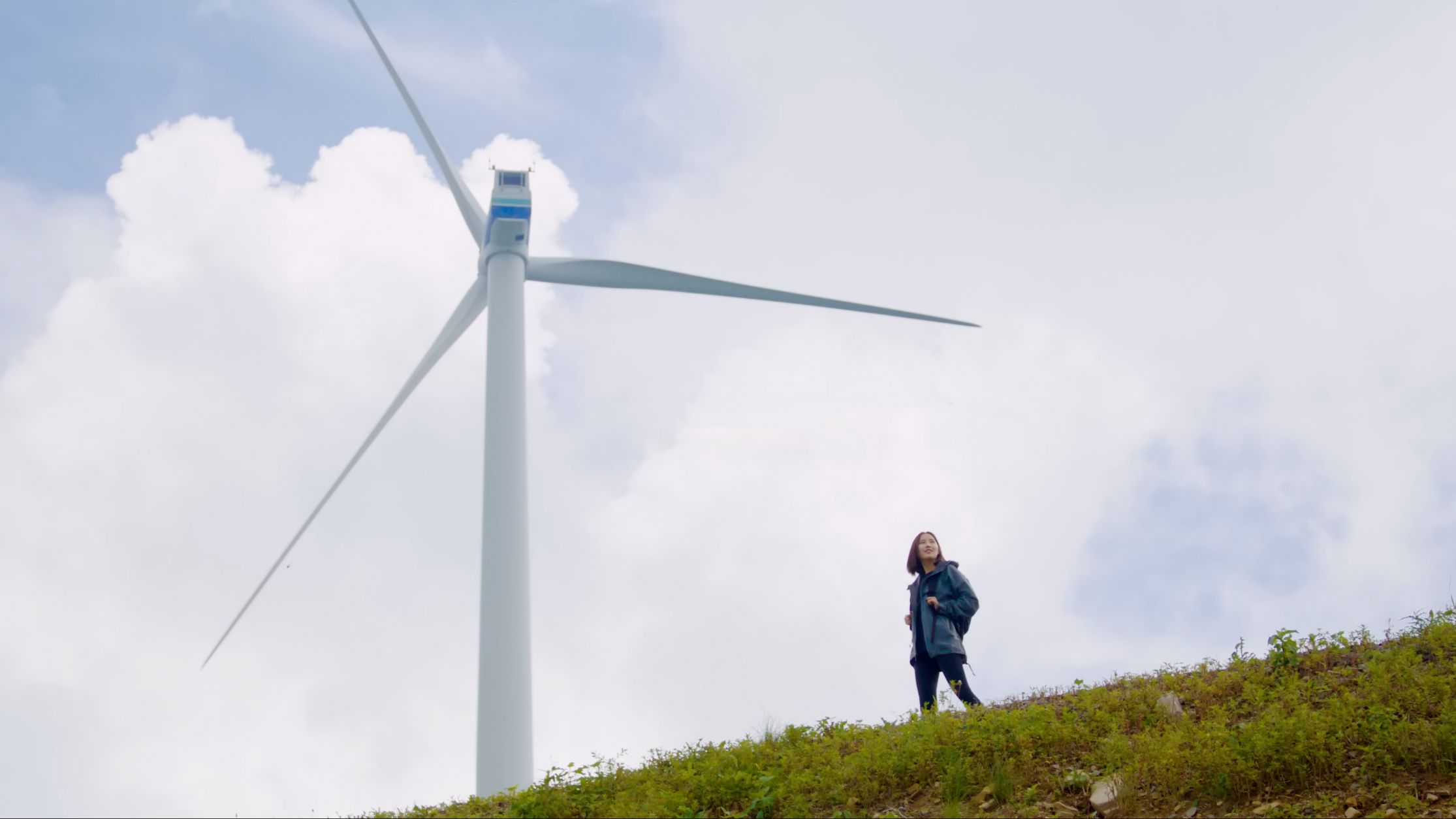 기업정보 이미지